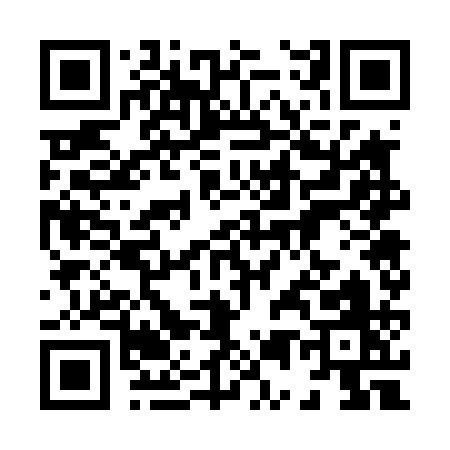 QR code for 85741