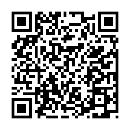 QR code for 8579081