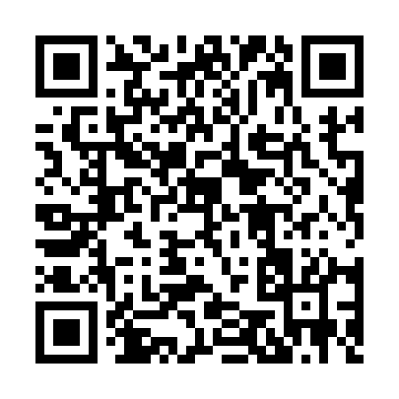 QR code for 85811