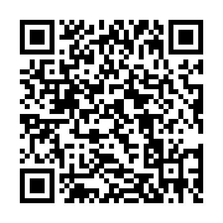 QR code for 85905