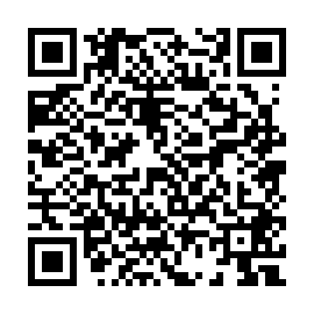 QR code for 8603482