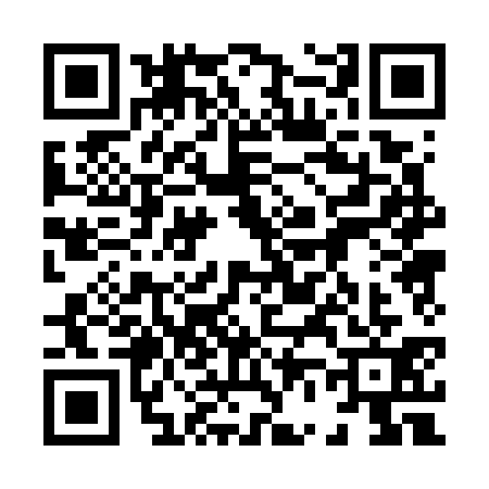 QR code for 8607313