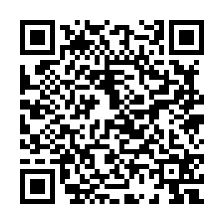 QR code for 8618243