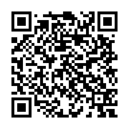 QR code for 863533