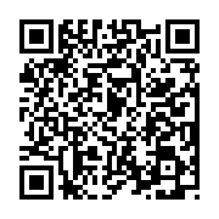 QR code for 8638863