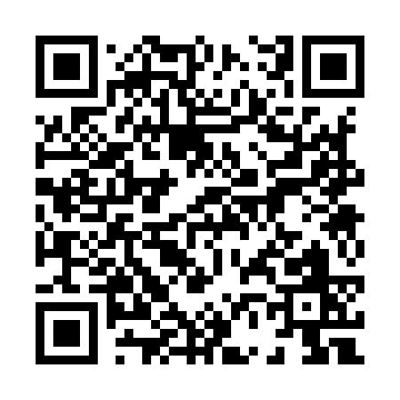 QR code for 86393