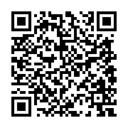 QR code for 86641
