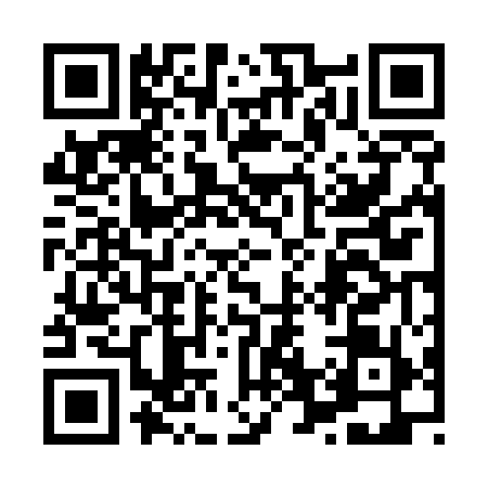 QR code for 8665594