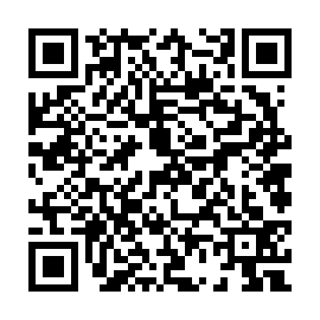QR code for 8666332