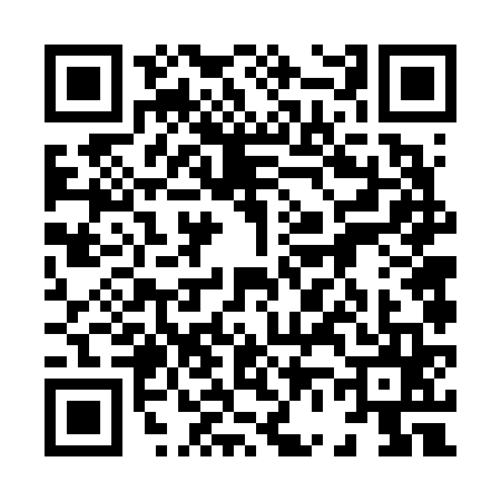 QR code for 8666659