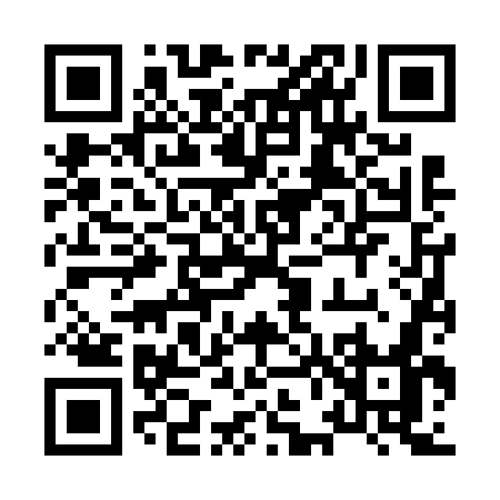 QR code for 86667