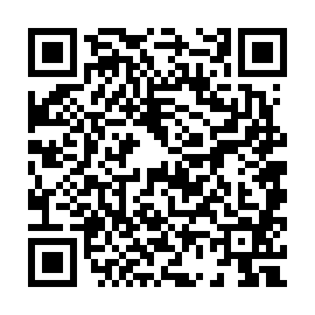 QR code for 8666845
