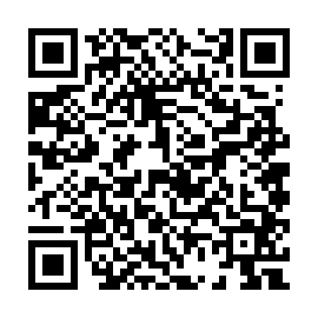 QR code for 8667448