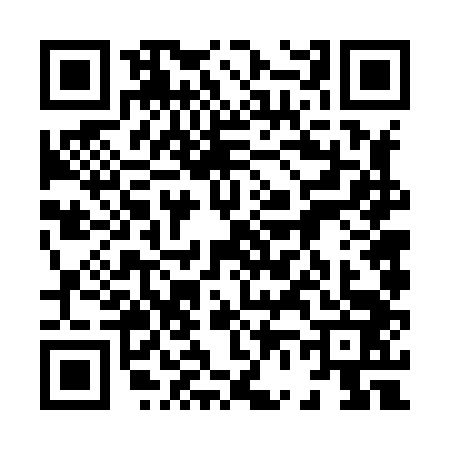 QR code for 8668431