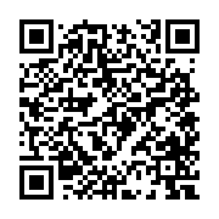 QR code for 86738