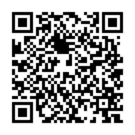 QR code for 8676675