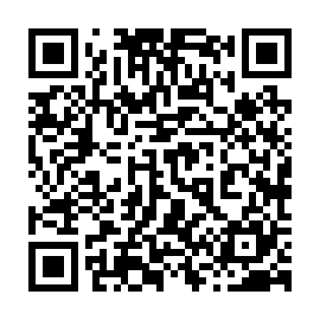 QR code for 868225