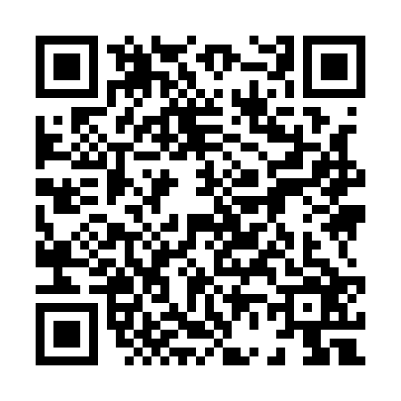 QR code for 8691261