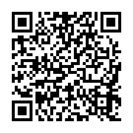 QR code for 8691596