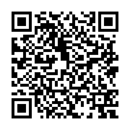 QR code for 8695334