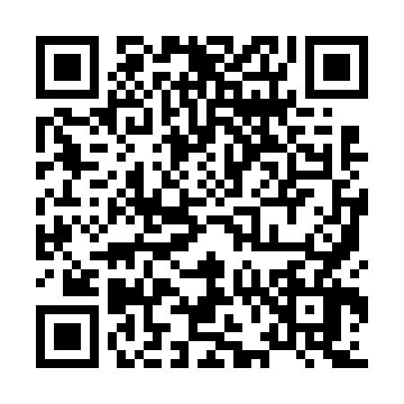 QR code for 8696665