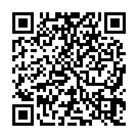 QR code for 8699631