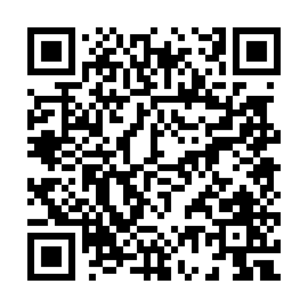 QR code for 87005