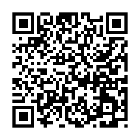 QR code for 87029