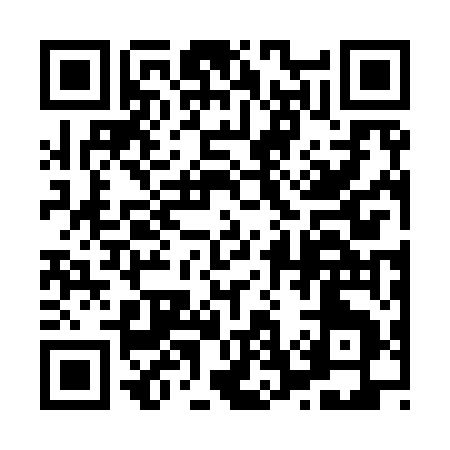 QR code for 87295