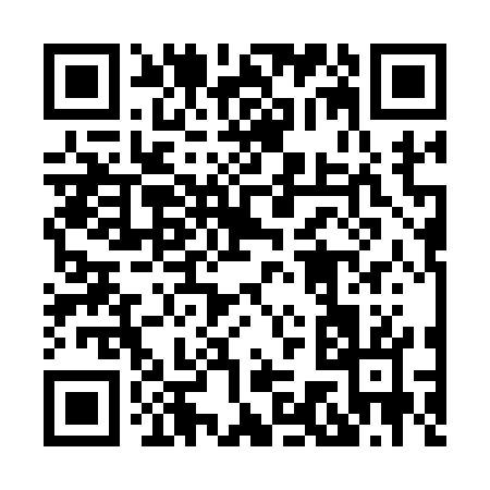 QR code for 87317
