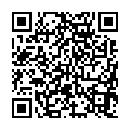 QR code for 8732918