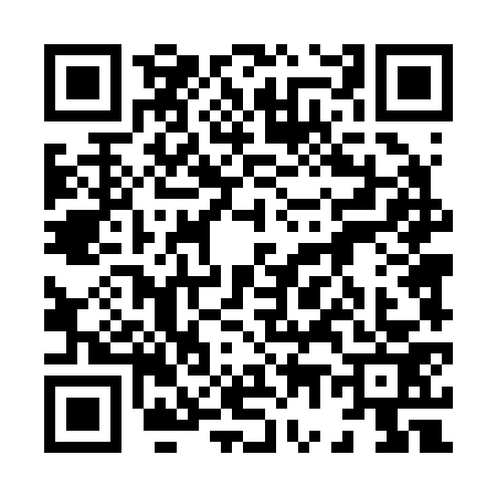 QR code for 8742738