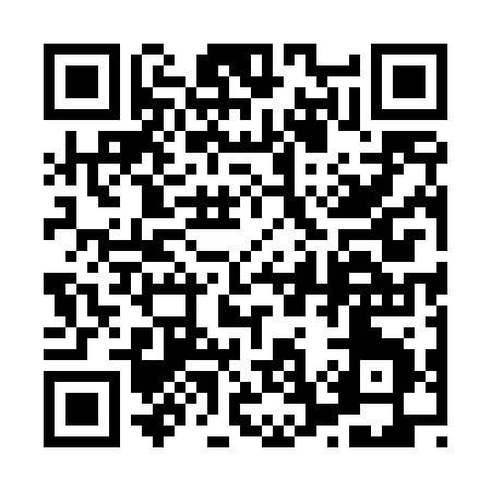 QR code for 87542