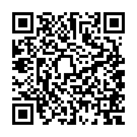 QR code for 8766480
