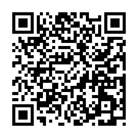 QR code for 87711