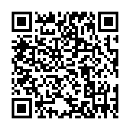 QR code for 87933