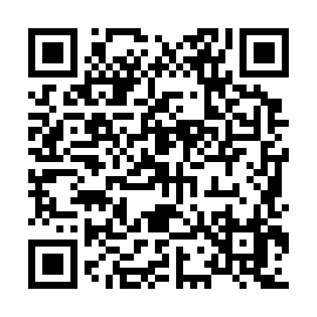 QR code for 87938
