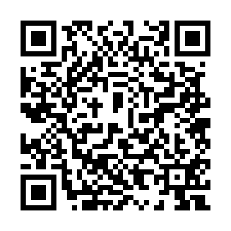 QR code for 8825119