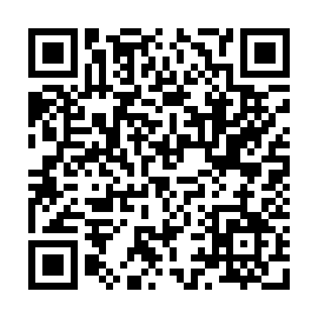 QR code for 89313