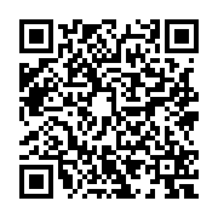 QR code for 8991251