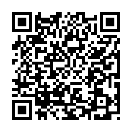 QR code for 9006738