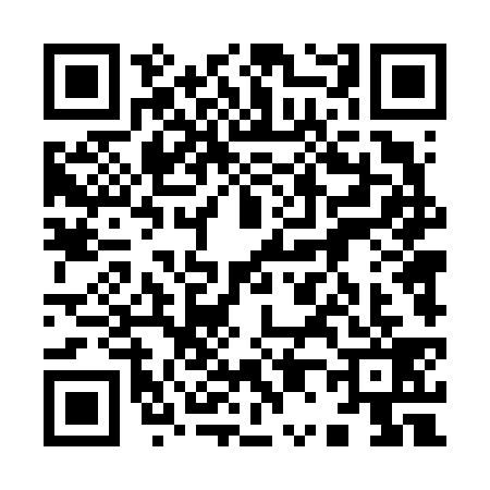 QR code for 9046393