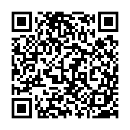QR code for 911741