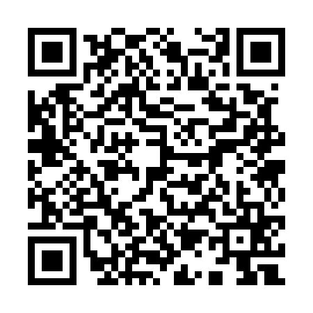 QR code for 9135653