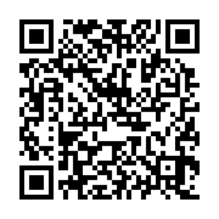 QR code for 916333