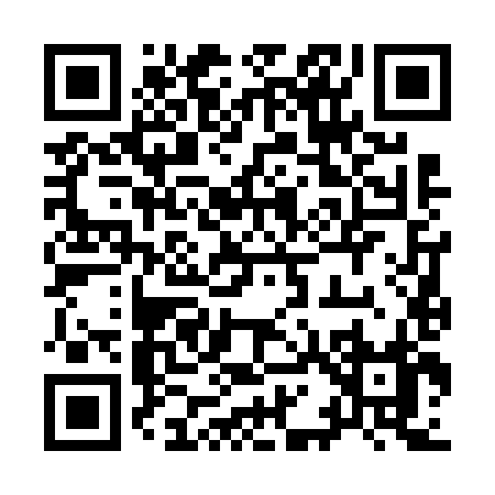 QR code for 91668