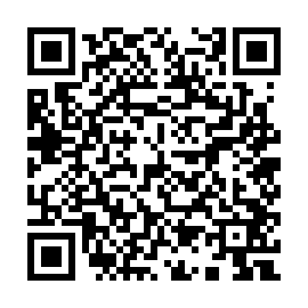 QR code for 9173425