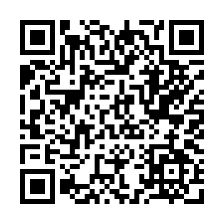 QR code for 91919
