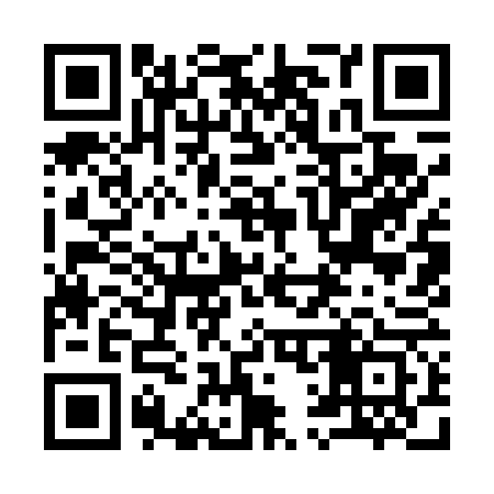 QR code for 919463