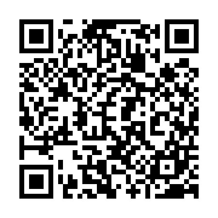 QR code for 919507